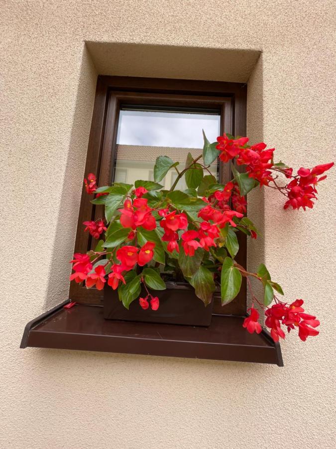 Sloneczne Apartamenty Polanica-Zdrój Exterior foto